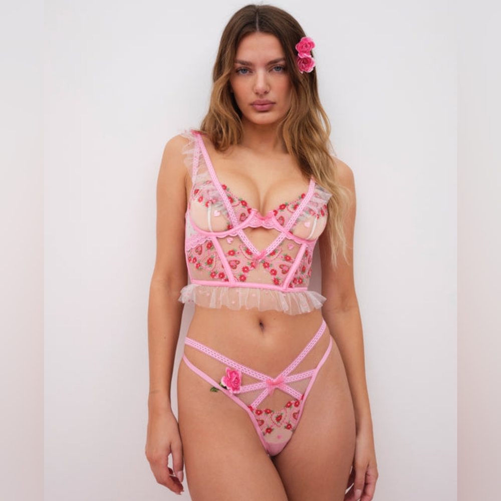 NWT Victoria's Secret FLL Sexy Whimsical Garden Bustier and Thong Panty Set